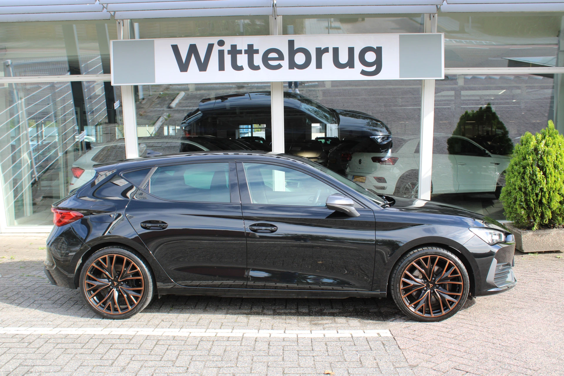 Cupra León