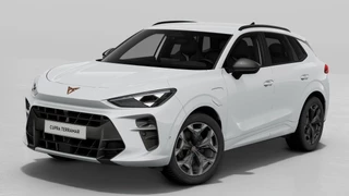 CUPRA Terramar Business