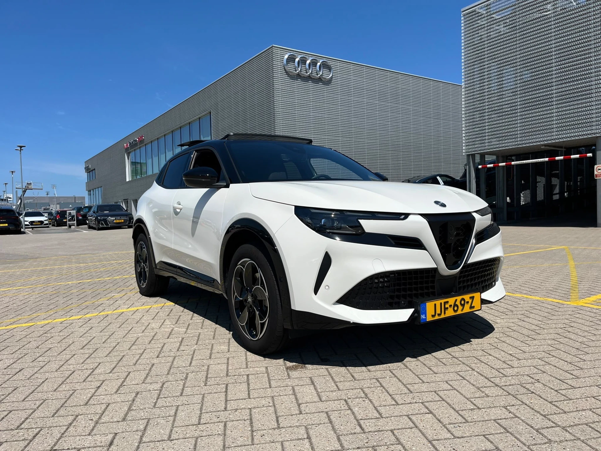 Alfa Romeo Junior